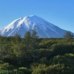 Появились подробности расследования экстремального спуска в вулкан на Камчатке